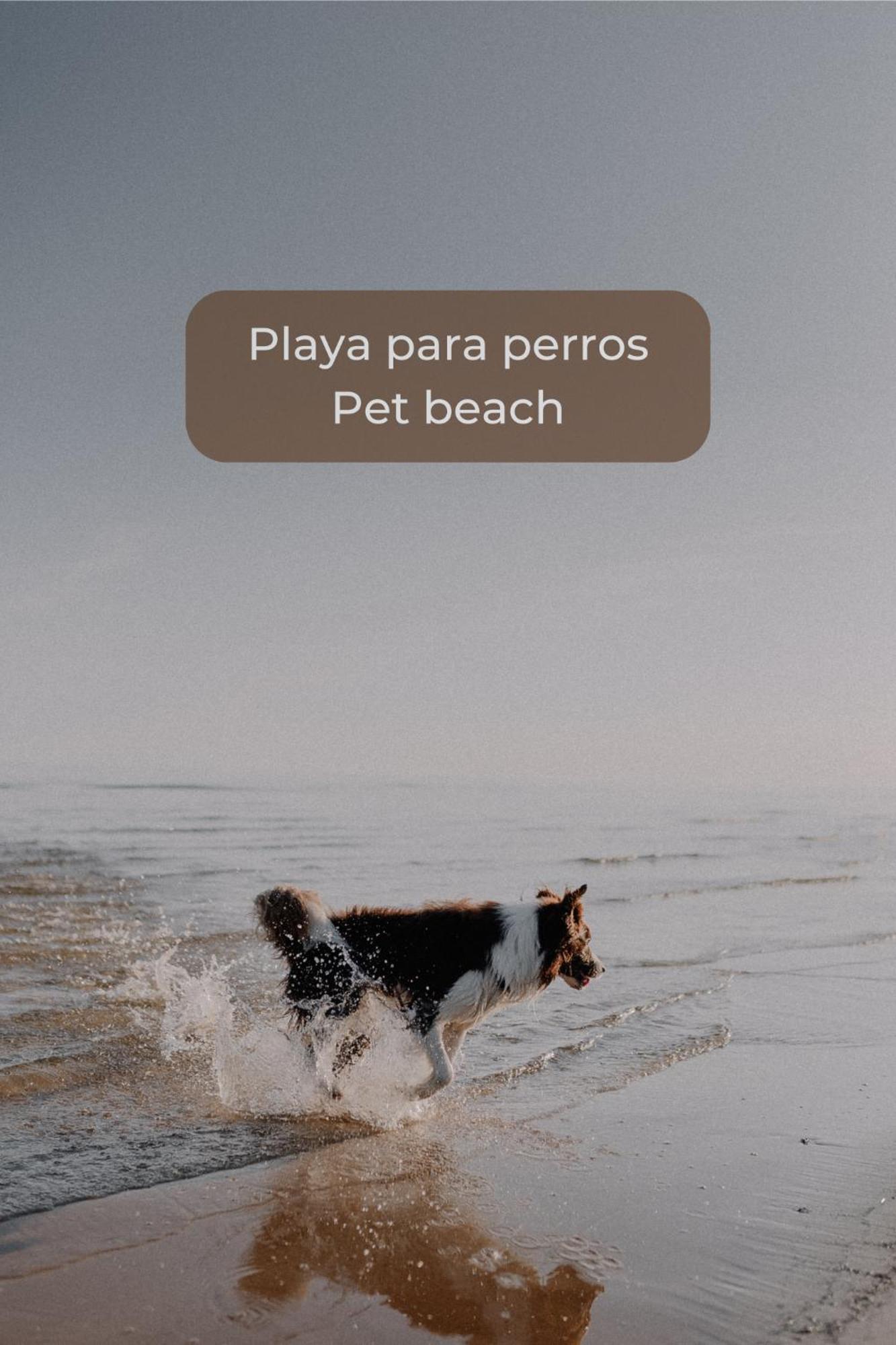 Basa Paradise - Piscina, Terraza, Wifi Y Parking Corralejo Exteriér fotografie